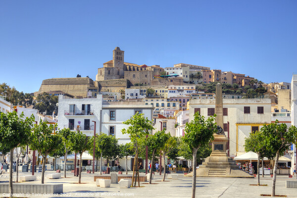 The Dalt Vila from the Port Picture Board by Tom Gomez