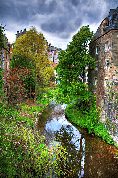 Water of Leith at Dean Village Picture Board by Tom Gomez