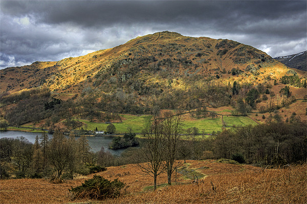 Rydal Water and Nab Scar Picture Board by Tom Gomez