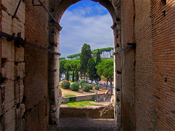 View from the Colosseum Picture Board by Tom Gomez