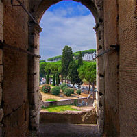 Buy canvas prints of View from the Colosseum by Tom Gomez