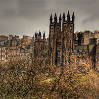 Buy canvas prints of New College by Tom Gomez