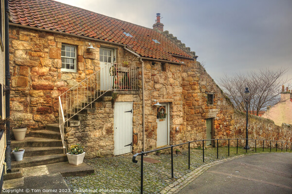 Mangle Cottage, Pittenweem Picture Board by Tom Gomez