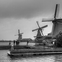 Buy canvas prints of Windmills on the River Zaan B&W by Tom Gomez