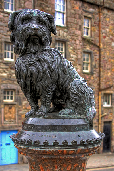 Greyfriars Bobby Picture Board by Tom Gomez