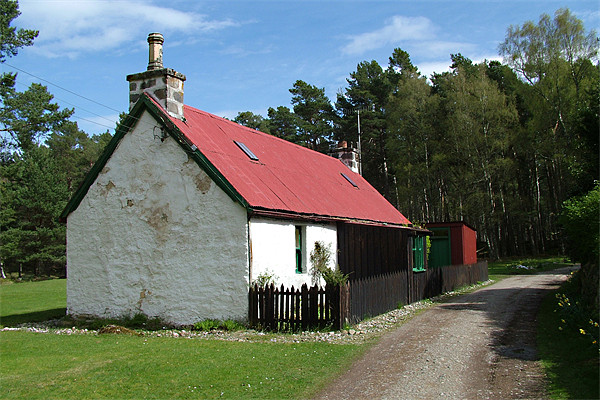 Cottage at Loch an Eilean Picture Board by Tom Gomez