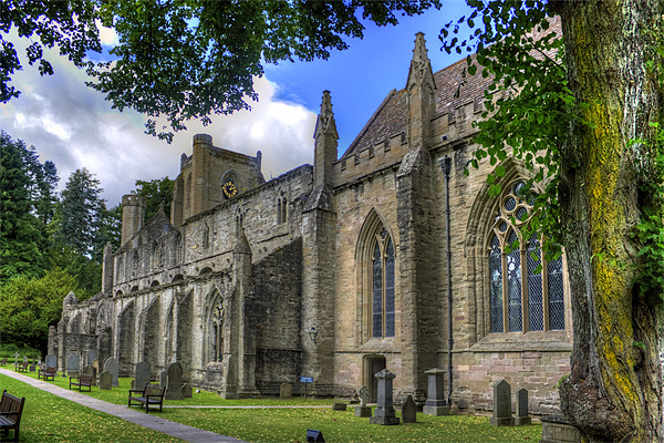 Dunkeld Cathedral Ruin Picture Board by Tom Gomez