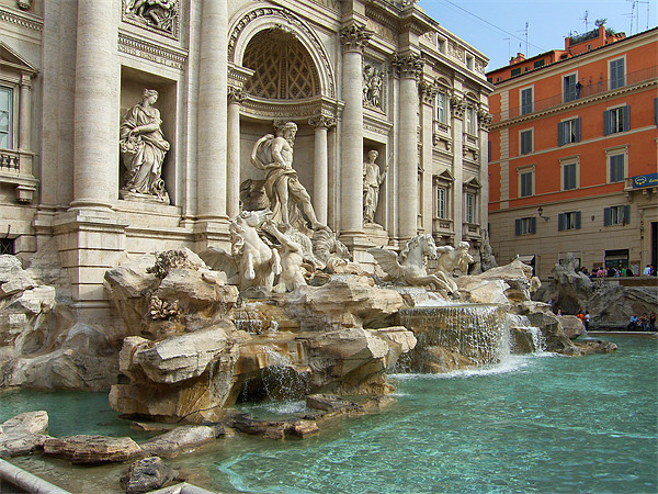 Trevi Fountain, Rome Picture Board by Tom Gomez