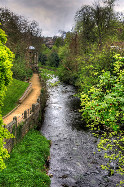 Water of Leith Walkway Picture Board by Tom Gomez