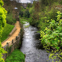 Buy canvas prints of Water of Leith Walkway by Tom Gomez