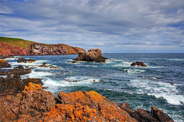 St. Abbs Rocks Picture Board by Tom Gomez