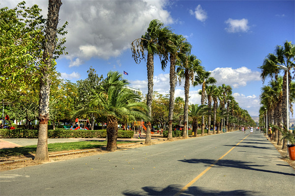 Limassol Promenade Picture Board by Tom Gomez