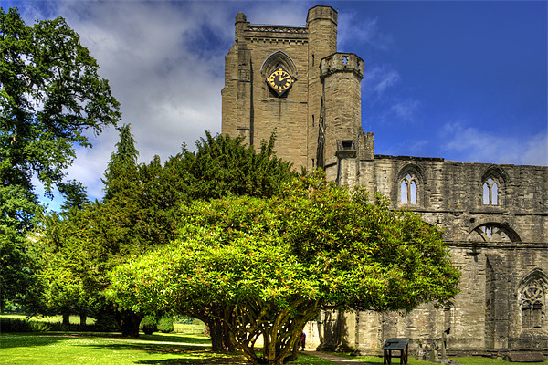 Dunkeld Cathedral Clock Tower Picture Board by Tom Gomez