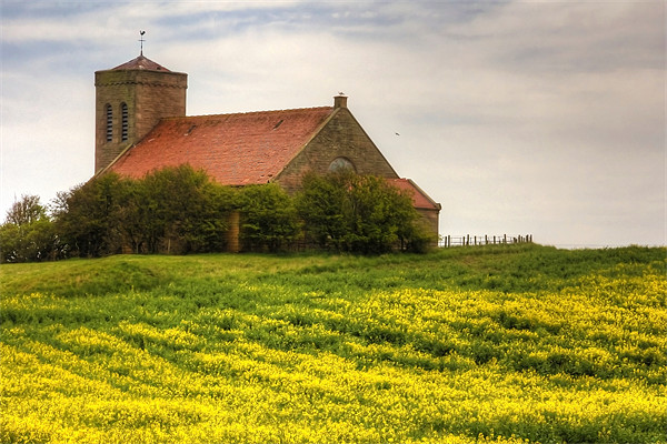 St Abbs Church in Rapeseed Picture Board by Tom Gomez