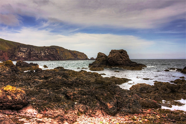 Rocks at St Abbs Picture Board by Tom Gomez