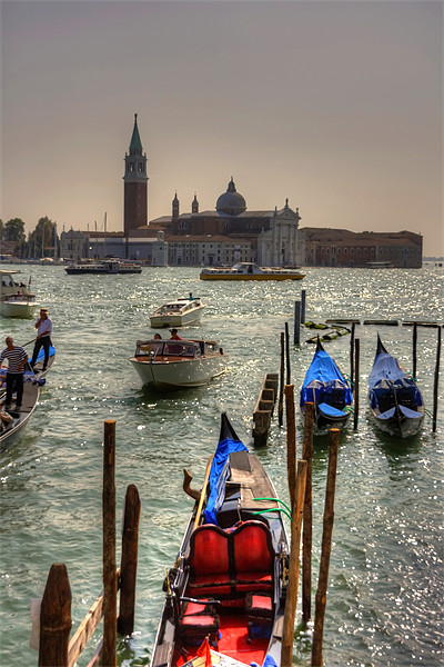 Gondolas in front of San Giorgio Maggiore Picture Board by Tom Gomez