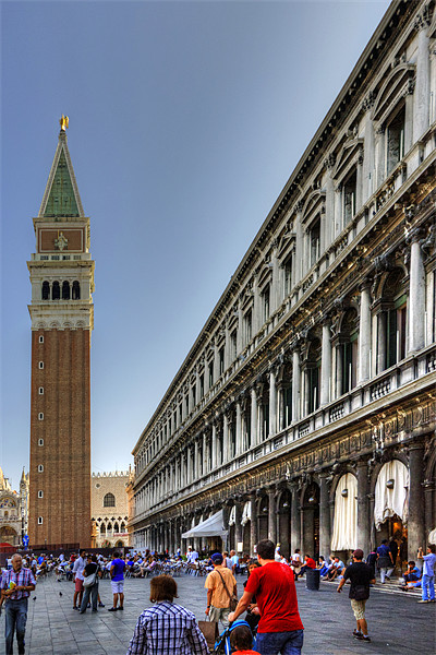 St Marks Basilica and Procuratie Nuove Picture Board by Tom Gomez