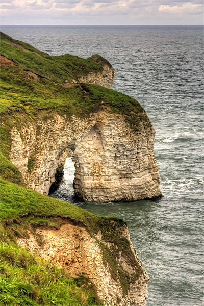 An Arch at Flamborough Head Picture Board by Tom Gomez