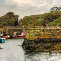 Buy canvas prints of The Harbour at St Abbs by Tom Gomez