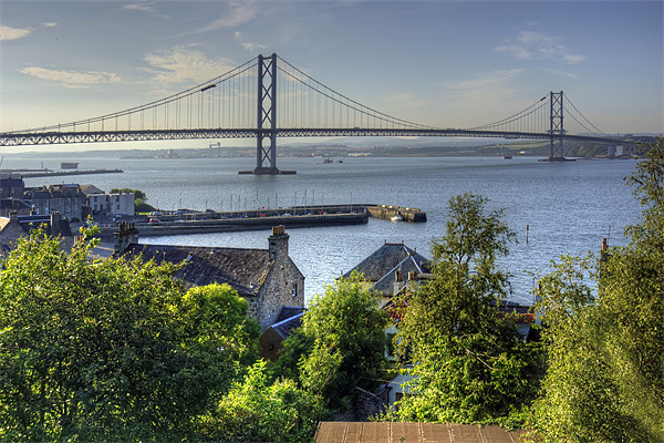 Forth Road Bridge and Harbour Picture Board by Tom Gomez