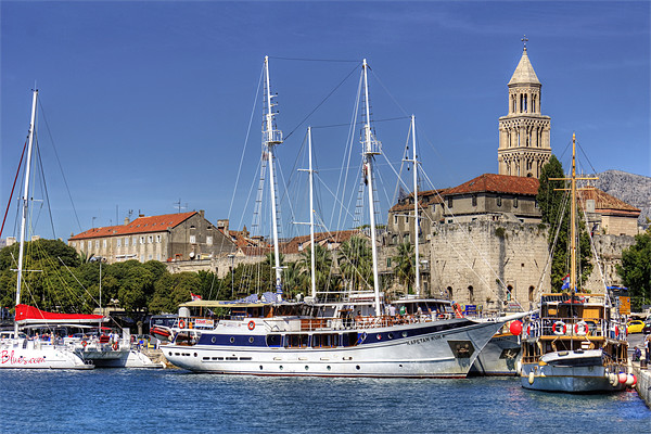 The Harbour at Split Picture Board by Tom Gomez