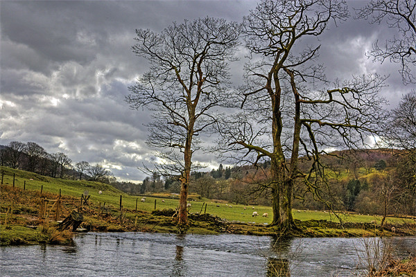 The River Rothay Picture Board by Tom Gomez