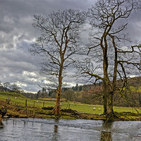 Buy canvas prints of The River Rothay by Tom Gomez