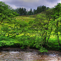 Buy canvas prints of River in the Glen by Tom Gomez