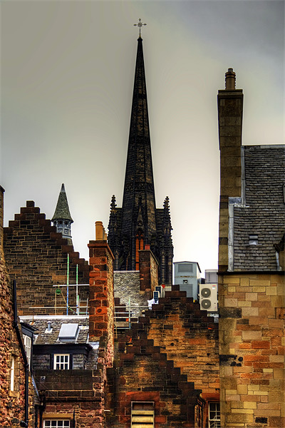 Over the rooftops of Edinburgh Picture Board by Tom Gomez