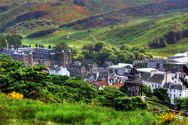 Holyrood from Calton Hill Picture Board by Tom Gomez