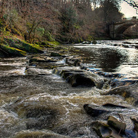 Buy canvas prints of The River Almond by Tom Gomez