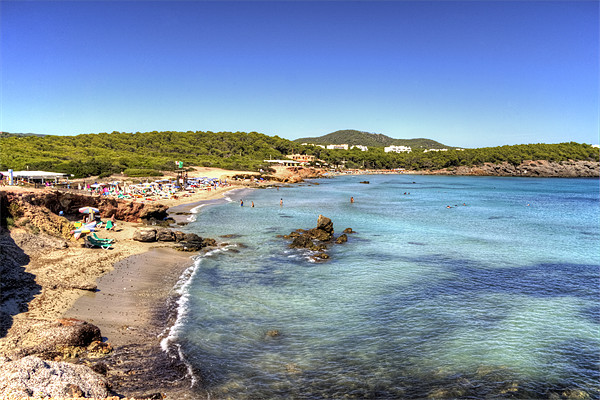 Cala Nova, Ibiza Picture Board by Tom Gomez