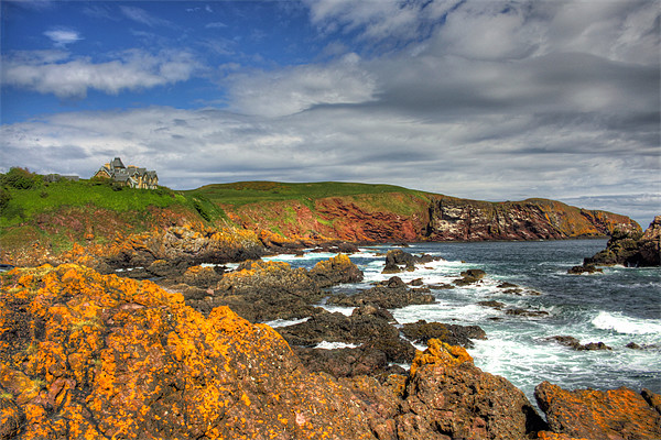 St Abbs Head Picture Board by Tom Gomez