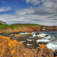 Buy canvas prints of St Abbs Head by Tom Gomez