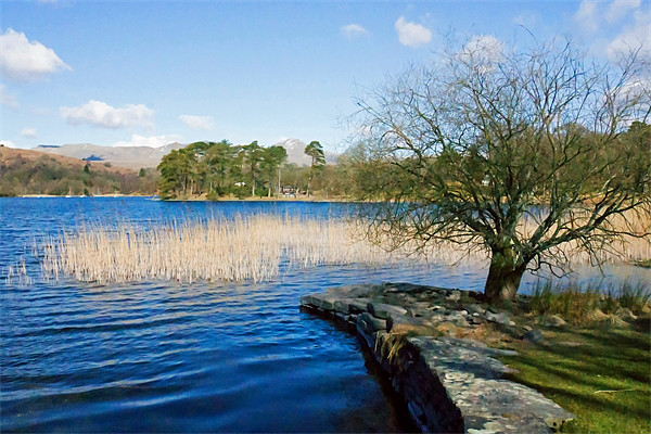 Coniston from Nibthwaite Quay Picture Board by Tom Gomez