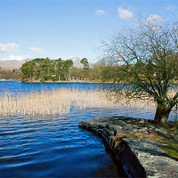 Buy canvas prints of Coniston from Nibthwaite Quay by Tom Gomez