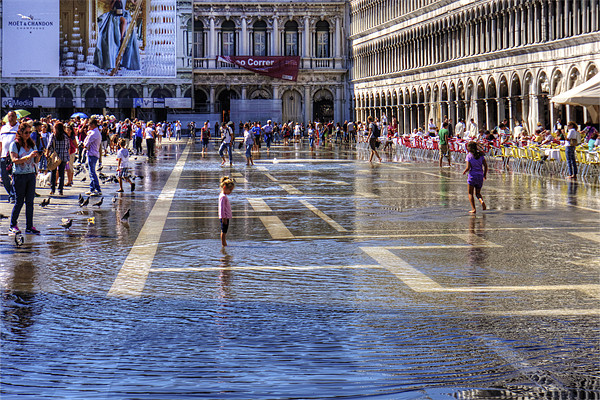Paddling in Piazza San Marco Picture Board by Tom Gomez