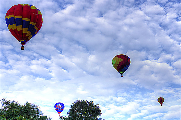 Strathaven Balloon Festival Picture Board by Tom Gomez