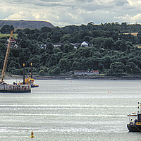 Buy canvas prints of New Forth Crossing - 31 July 2013 by Tom Gomez