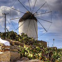 Buy canvas prints of Windmill in a Pricky Pear field by Tom Gomez