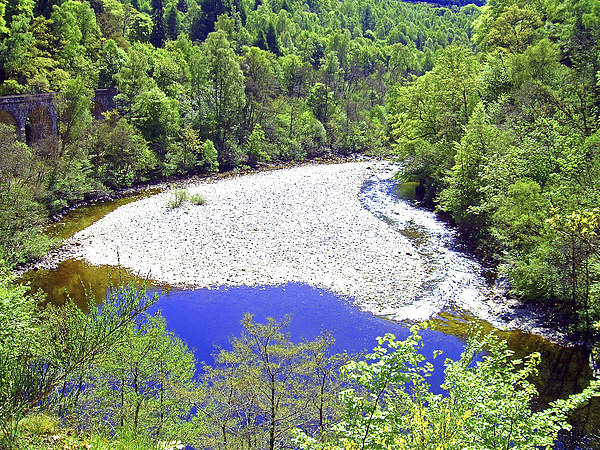 The River Garry at Killiecrankie Picture Board by Tom Gomez