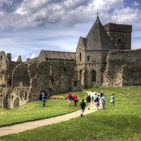 Buy canvas prints of Visitors to Inchcolm by Tom Gomez