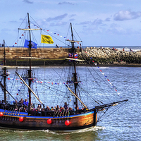 Buy canvas prints of Bark Endeavour by Tom Gomez