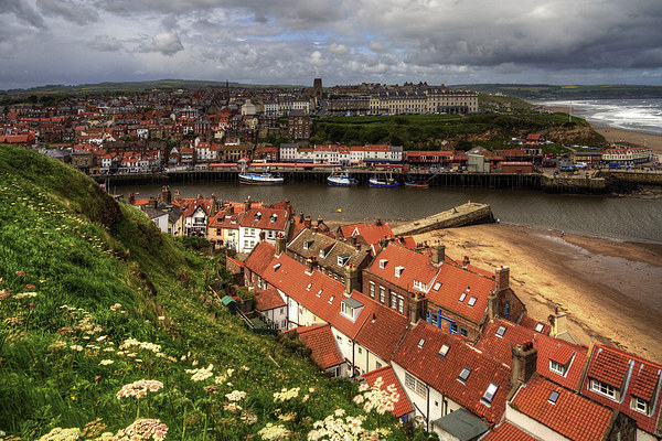 Whitby from the East Cliff Picture Board by Tom Gomez