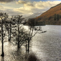 Buy canvas prints of Loch Tay Winter by Tom Gomez