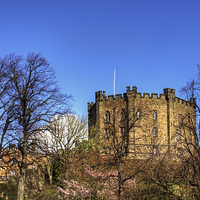 Buy canvas prints of Durham Castle Keep by Tom Gomez