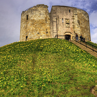 Buy canvas prints of Cliffords Tower by Tom Gomez