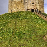 Buy canvas prints of York Castle Keep by Tom Gomez