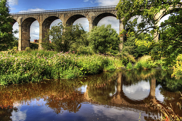 Avon Viaduct Reflections Picture Board by Tom Gomez