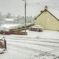 Buy canvas prints of Snow Storm by Tom Gomez